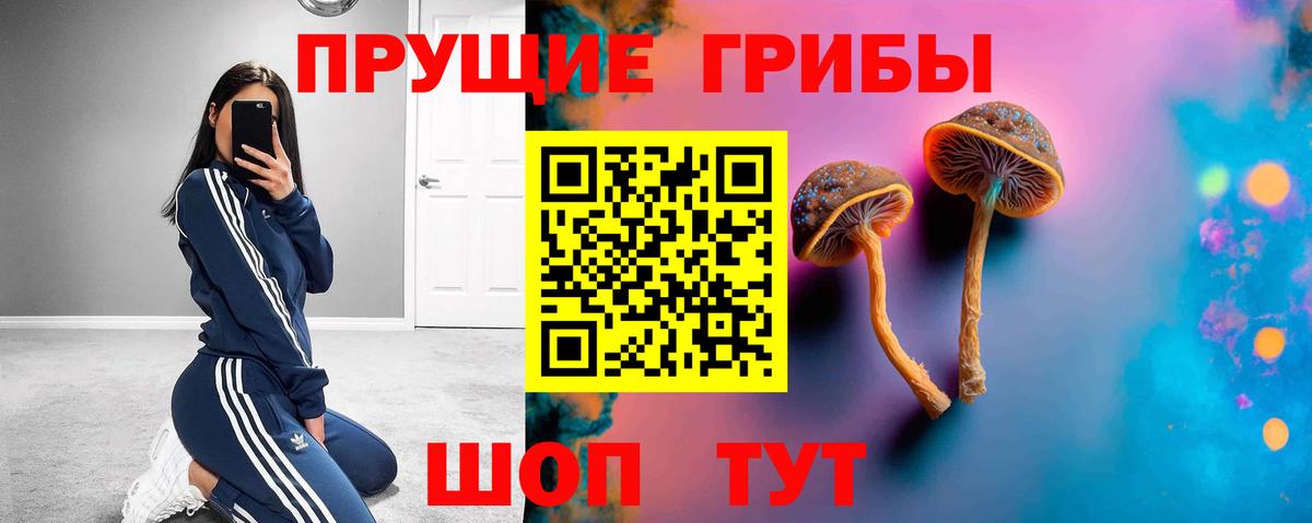 Галлюциногенные грибы Psilocybe Советская Гавань